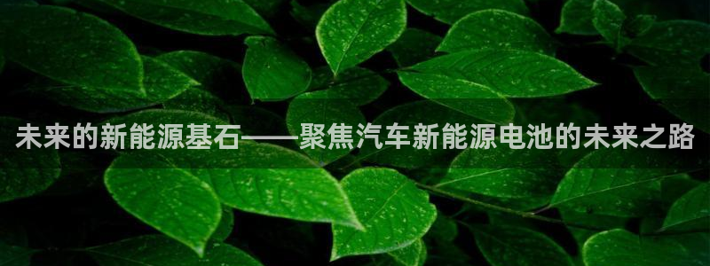 优发国际手机安装登录不了：未来的新能源基石——聚焦汽车新能源电池的未来之路