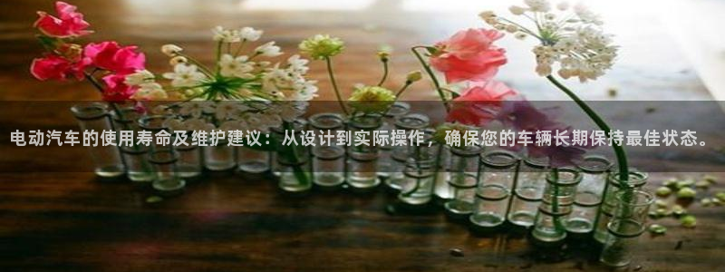 优发国际平台app下载官网：电动汽车的使用寿命及维护建议：从设计到实际操作，确保您的车辆长期保持最佳状态。