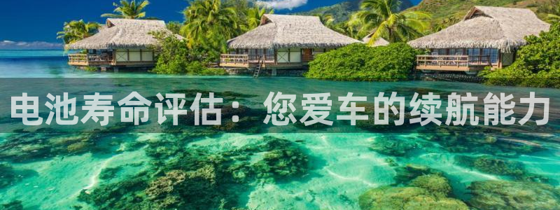 优发国际是大平台吗知乎：电池寿命评估：您爱车的续航能力