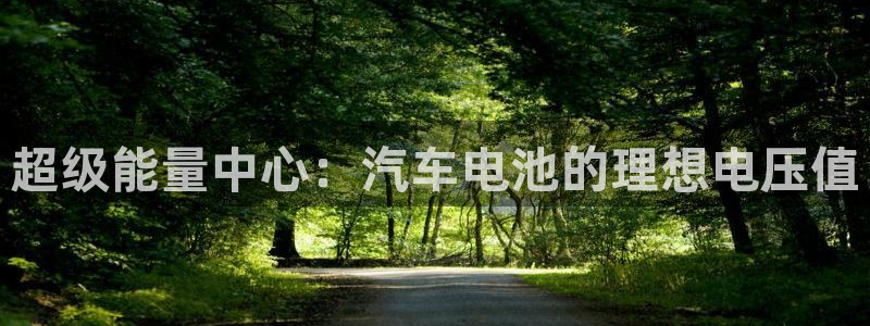 优发国际平台18岁能做吗：超级能量中心：汽车电池的理想电压值