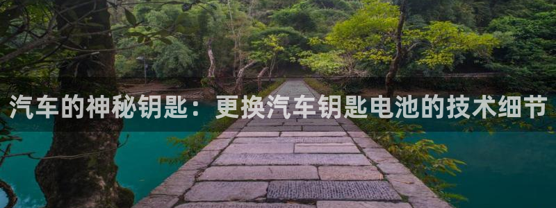 优发国际官网下载app：汽车的神秘钥匙：更换汽车钥匙电池的技术细节
