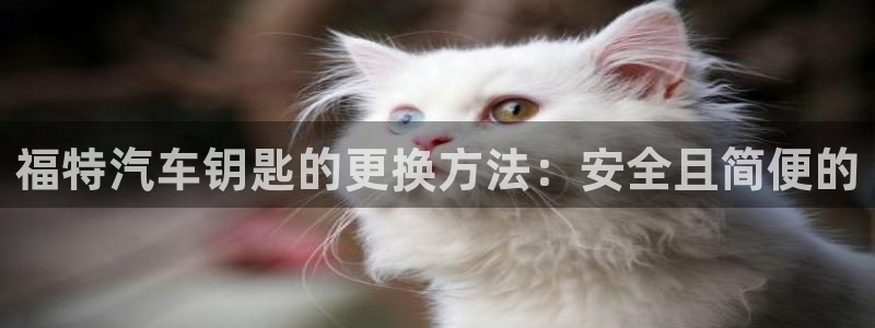 优发国际：福特汽车钥匙的更换方法：安全且简便的
