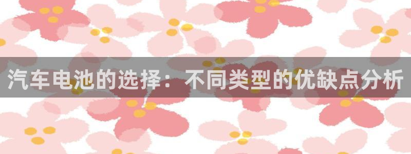 优发国际下载安装app：汽车电池的选择：不同类型的优缺点分析