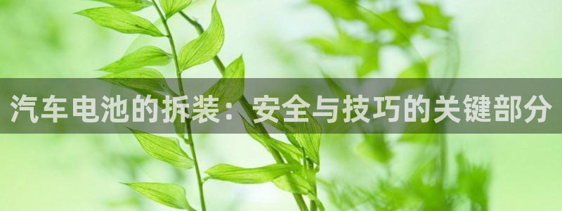 优发国际平台app下载苹果版：汽车电池的拆装：安全与技巧的关键部分