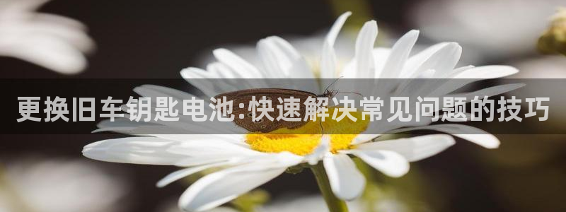 优发国际手机安装登录失败：更换旧车钥匙电池:快速解决常见问题的技巧
