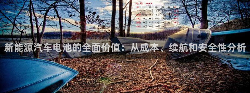 优发国际官网手机版：新能源汽车电池的全面价值：从成本、续航和安全性分析