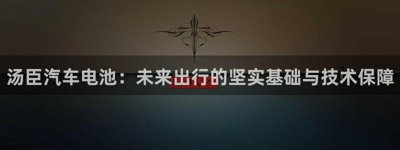 优发国际手机版网站官网：汤臣汽车电池：未来出行的坚实基础与技术保障