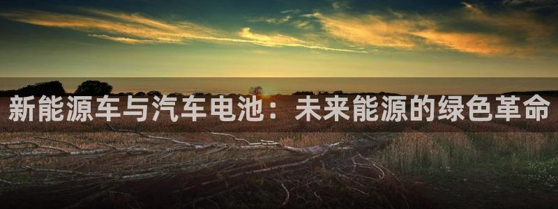 优发国际登录：新能源车与汽车电池：未来能源的绿色革命