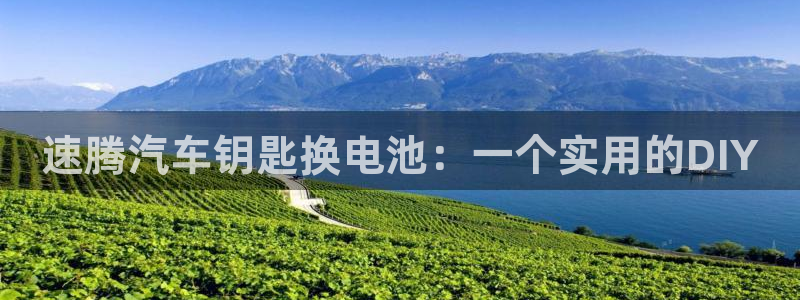 优发国际官网手机版下载：速腾汽车钥匙换电池：一个实用的DIY
