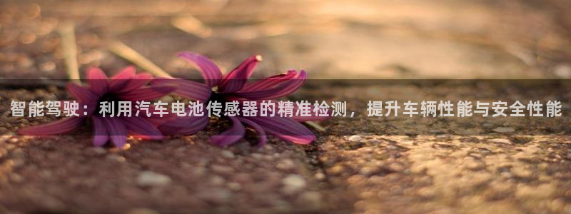 优发国际注册账号：智能驾驶：利用汽车电池传感器的精准检测，提升车辆性能与安全性能