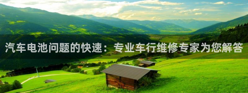 优发国际官方下载app：汽车电池问题的快速：专业车行维修专家为您解答