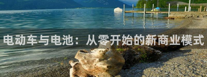 优发国际网官：电动车与电池：从零开始的新商业模式