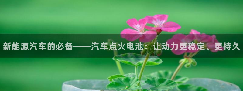 优发国际-触即发：新能源汽车的必备——汽车点火电池：让动力更稳定、更持久