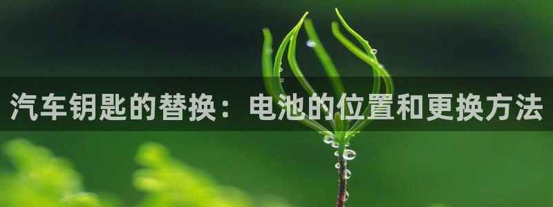 优发国际客服联系方式：汽车钥匙的替换：电池的位置和更换方法