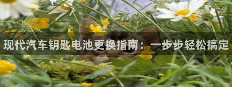 优发国际官网手机版app：现代汽车钥匙电池更换指南：一步步轻松搞定