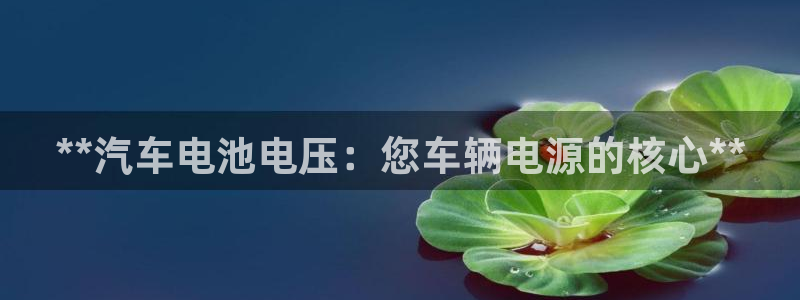 优发国际手机登录下载安装