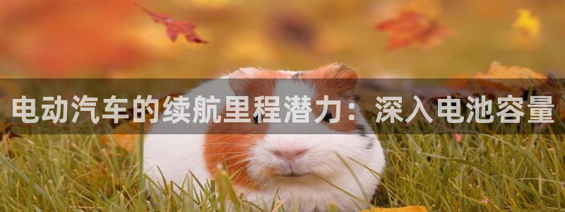 优发国际官网登录