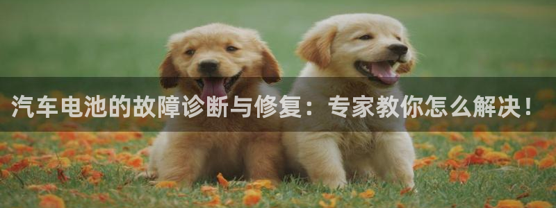 优发国际登录首页