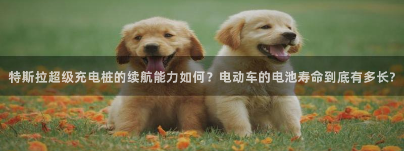 优发国际注册平台官网