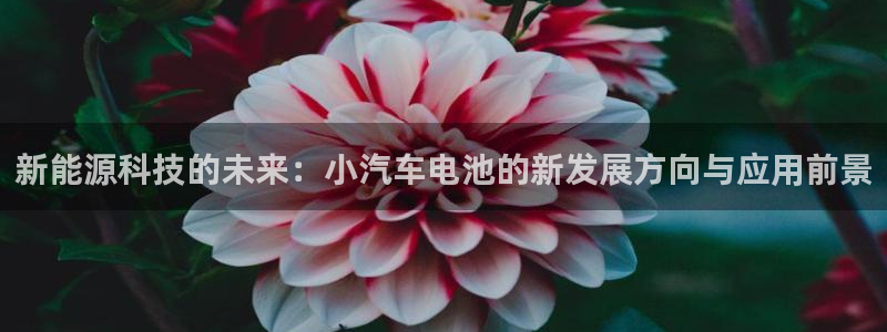 优发国际登录l8