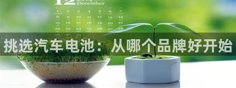 优发国际官网qy88