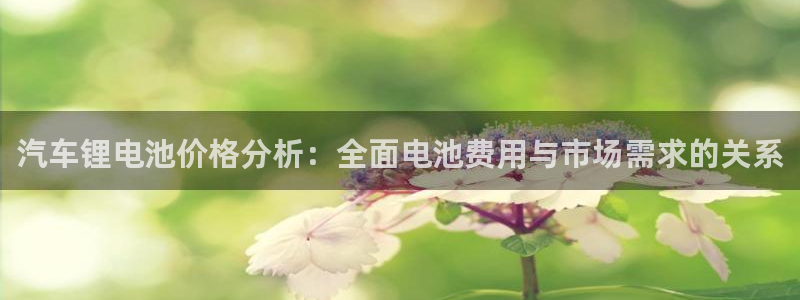 优发国际手机客户端官网首页：汽车锂电池价格分析：全面电池费用与市场需求的关系