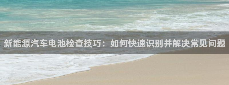 优发国际游戏：新能源汽车电池检查技巧：如何快速识别并解决常见问题