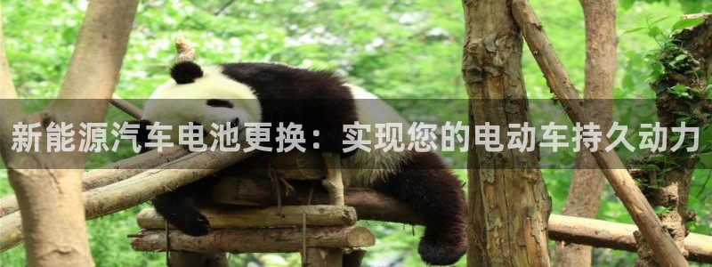 优发国际手机安装登录失败