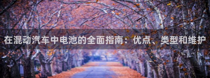优发国际客服联系方式查询：在混动汽车中电池的全面指南：优点、类型和维护