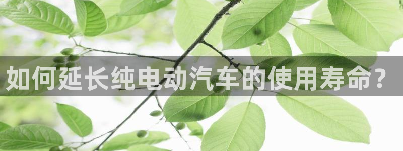 优发国际官方网手机版下载安装：如何延长纯电动汽车的使用寿命？