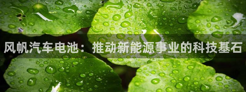 优发国际登录首页：风帆汽车电池：推动新能源事业的科技基石