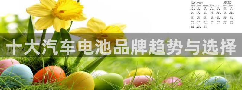 优发国际官网入口app下载安装：十大汽车电池品牌趋势与选择