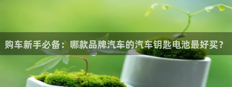 优发国际是大平台吗知乎：购车新手必备：哪款品牌汽车的汽车钥匙电池最好买？