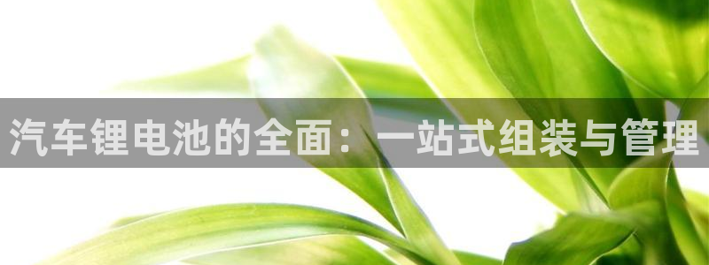优发国际网站官网：汽车锂电池的全面：一站式组装与管理